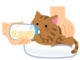 【画像】心優しいケンモメン、迷子になってた子猫を拾い粉ミルクをお裾分け